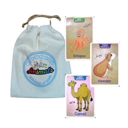 3D Animals Flashcards